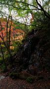 茨城県北茨城市 花園渓谷