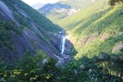 鹿児島県屋久島町 千尋の滝