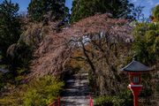 京都府京都市西京区 正法寺