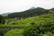 大阪府能勢町 長谷の棚田