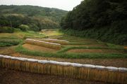 栃木県那須烏山市 国見