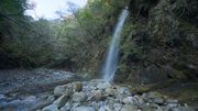 和歌山県古座川町 植魚の滝 ハリオの滝